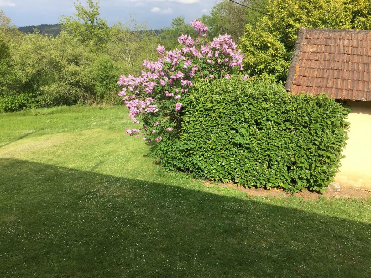 Domaine De Lascaux Bed & Breakfast Montignac-Lascaux Eksteriør bilde